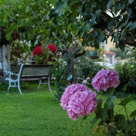 Apartman Mateo *